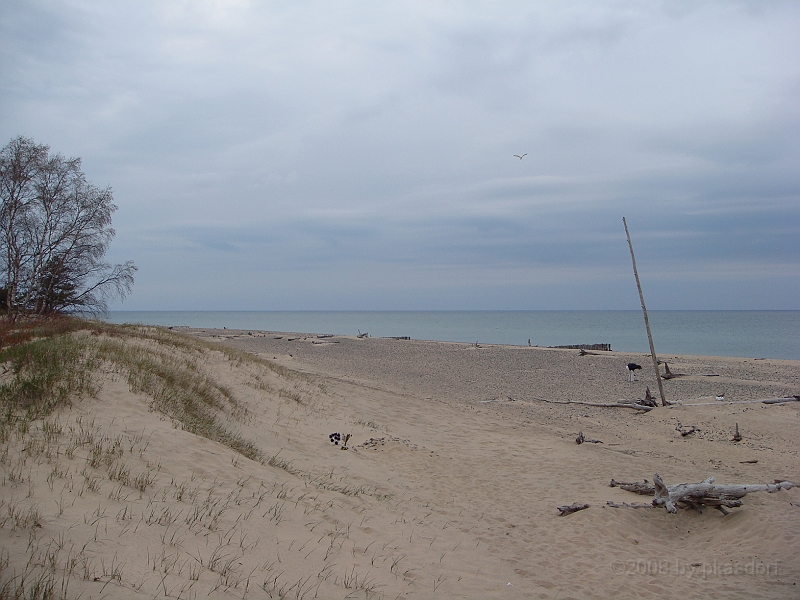 355 Memorial Day [2008 May 23].JPG - Scenes from Whitefish Point on Lake Superior in the Michigan Upper Peninsula.